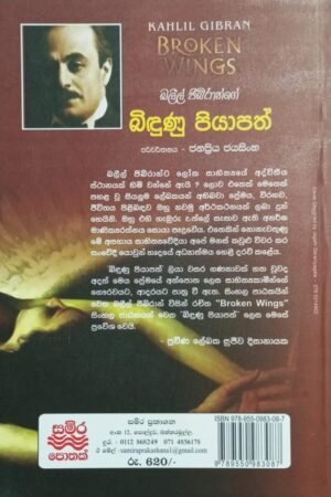 බිඳුණු පියාපත් 8 7ad41880 c2ab 4d7b b5e9 27728be981ac