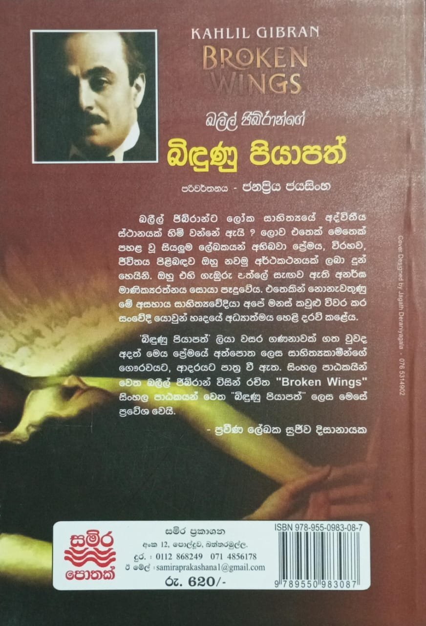 බිඳුණු පියාපත් 2 බිඳුණු පියාපත් - Image 2